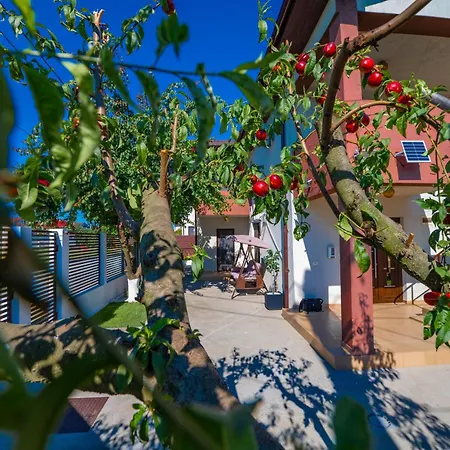 Casa Voicu Észak-Eforie