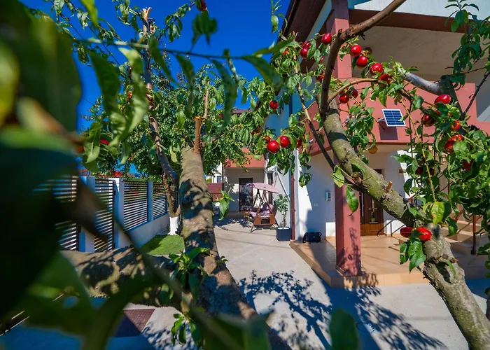 Casa Voicu Eforie Nord