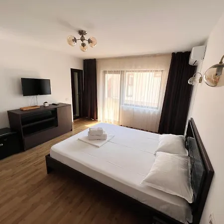Guest house Pensiunea Voicu