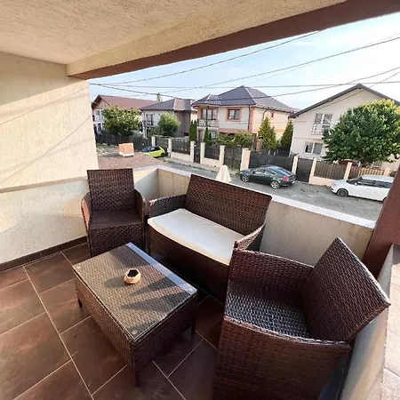 Pensiunea Voicu Guest house *