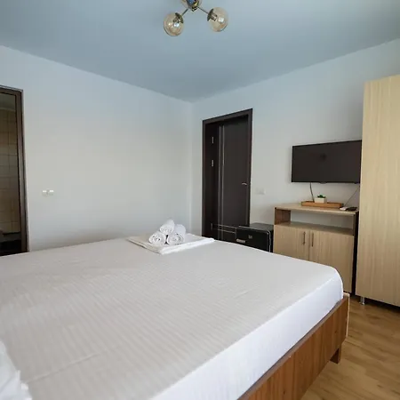 Pensiunea Voicu Guest house *