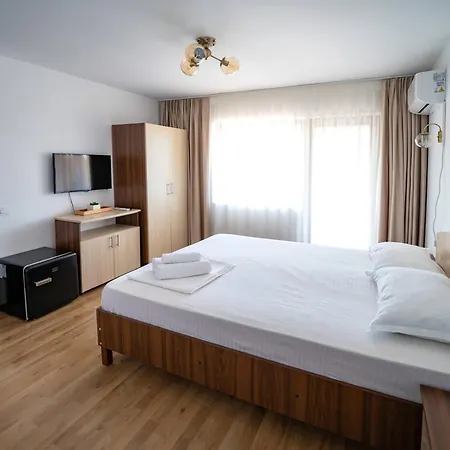 Pensiune Casa Voicu