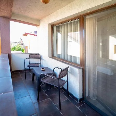Pensiunea Voicu Guest house *