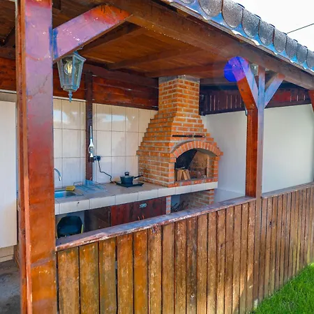 Pensiunea Voicu Guest house *
